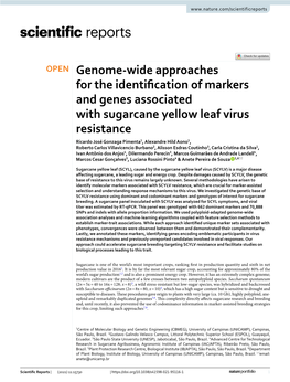 Genome-Wide Approaches for the Identification of Markers and Genes Associated with Sugarcane Yellow Leaf Virus Resistance