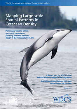 Mapping Large-Scale Spatial Patterns in Cetacean Density