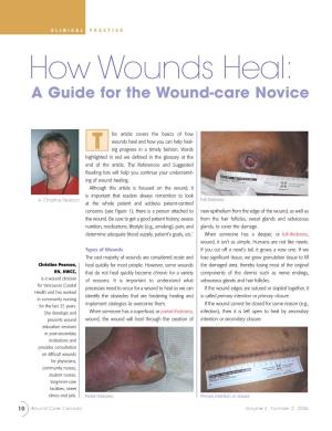 How Wounds Heal: a Guide for the Wound-Care Novice