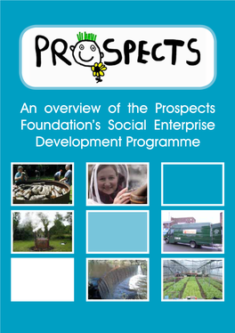 An Overview of the Prospects Foundation's Social Enterprise