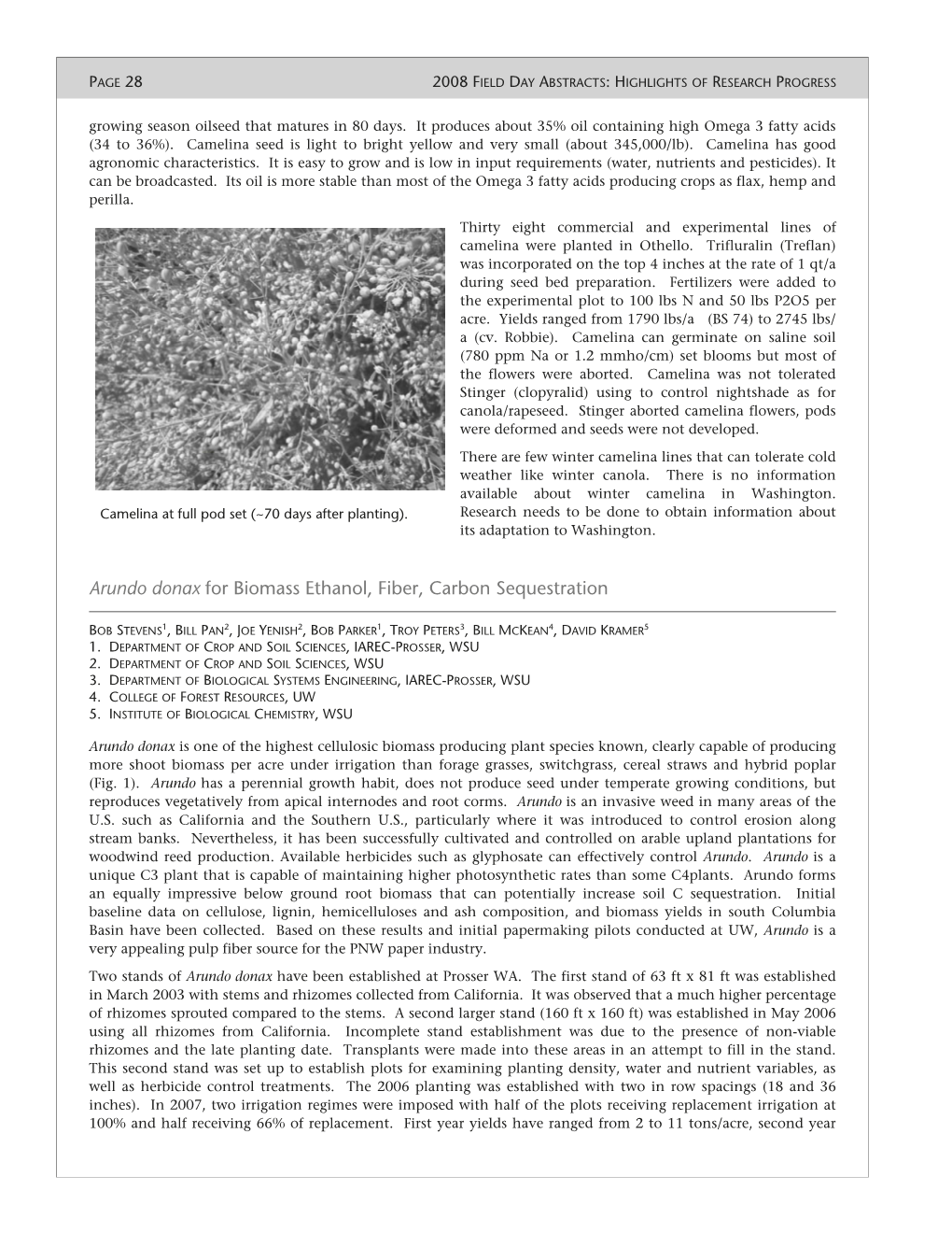 Arundo Donax for Biomass Ethanol, Fiber, Carbon Sequestration