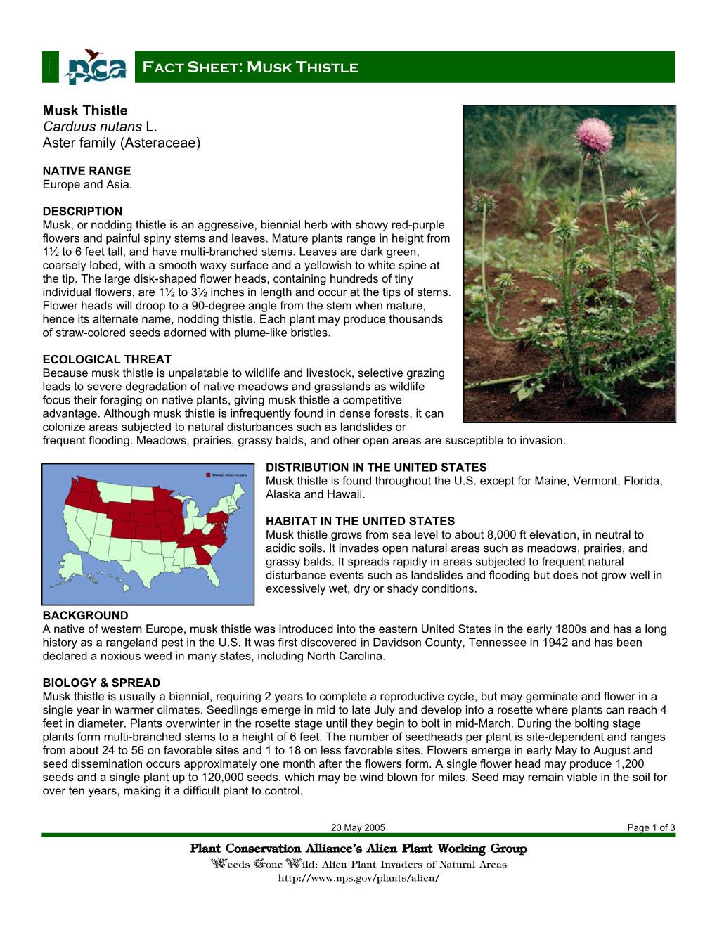 Plant Conservation Alliance®S Alien Plant Working Group Musk Thistle Carduus Nutans L. Aster Family (Asteraceae)