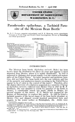 Paradexodes Epilachnae, a Tachinid Para- Site of the Mexican Bean Beetle '