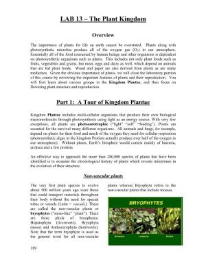 LAB 13 – the Plant Kingdom Overview