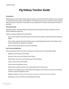 Pig Kidney Teacher Guide
