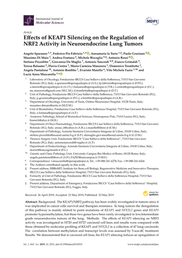 Effects of KEAP1 Silencing on the Regulation of NRF2 Activity