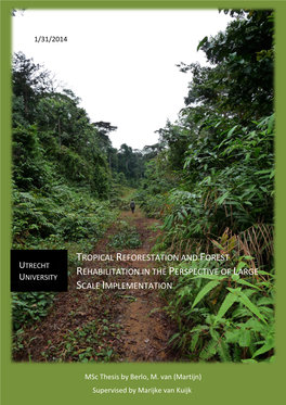 Tropical Reforestation and Forest Rehabilitation in the Perspective Of