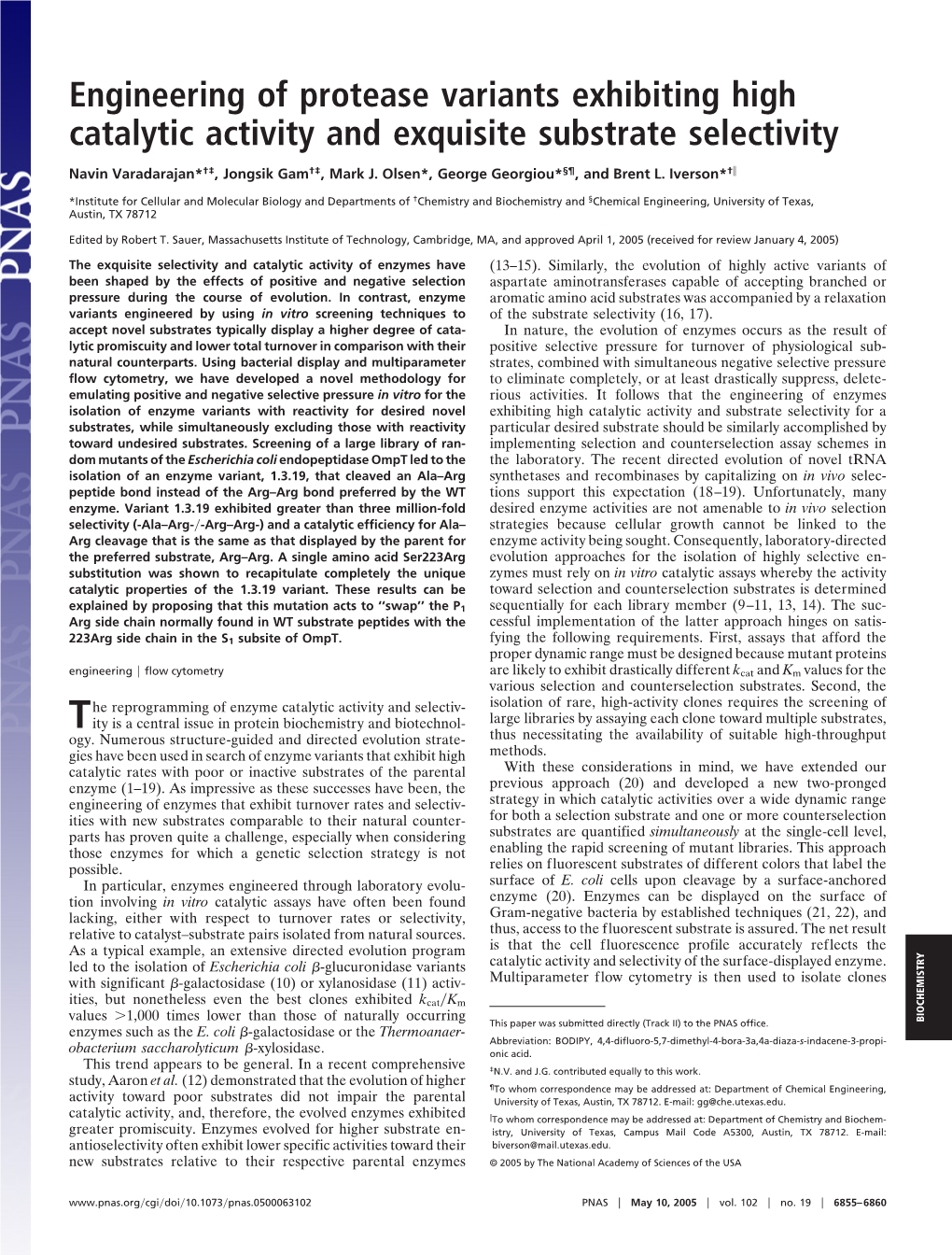 Engineering of Protease Variants Exhibiting High Catalytic Activity and Exquisite Substrate Selectivity