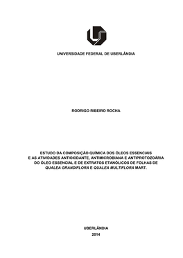 Universidade Federal De Uberlândia Rodrigo Ribeiro