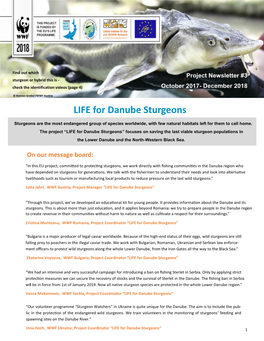 LIFE for Danube Sturgeons Project Newsletter #3