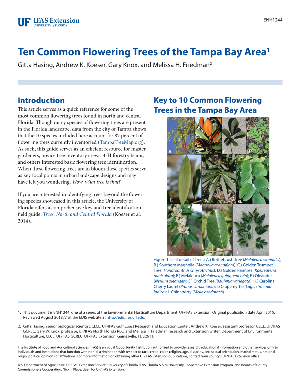 Ten Common Flowering Trees of the Tampa Bay Area1 Gitta Hasing, Andrew K