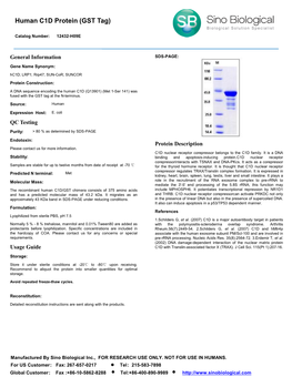 Human C1D Protein (GST Tag)