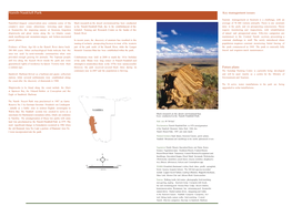 To Download the Namib-Naukluft Park Brochure