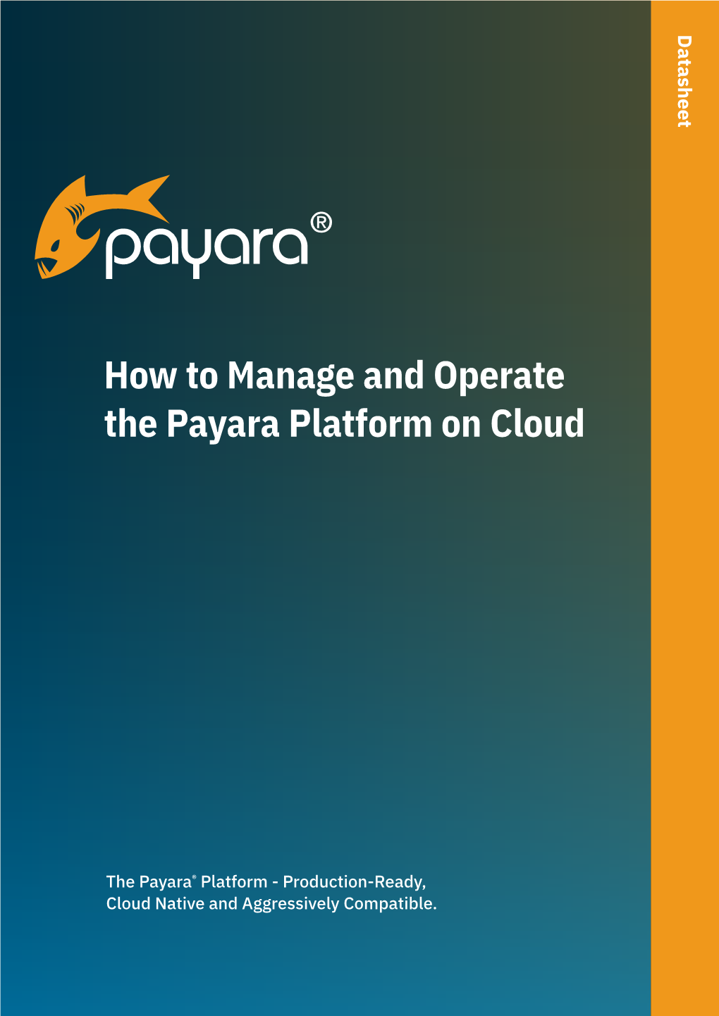 How to Manage and Operate the Payara Platform on Cloud