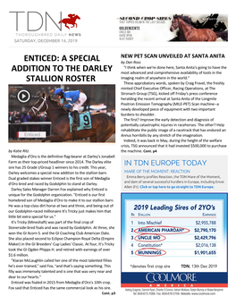 Enticed: a Special Addition to the Darley Stallion Roster