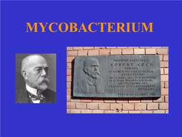 MYCOBACTERIUM Mycobacteria - in General • Aerobic Rods