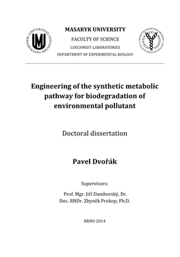 Engineering of the Synthetic Metabolic Pathway for Biodegradation of Environmental Pollutant