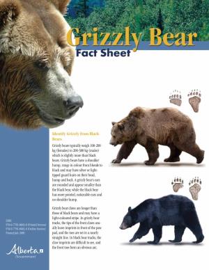 Grizzly Bear Fact Sheet