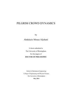 Pilgrim Crowd Dynamics