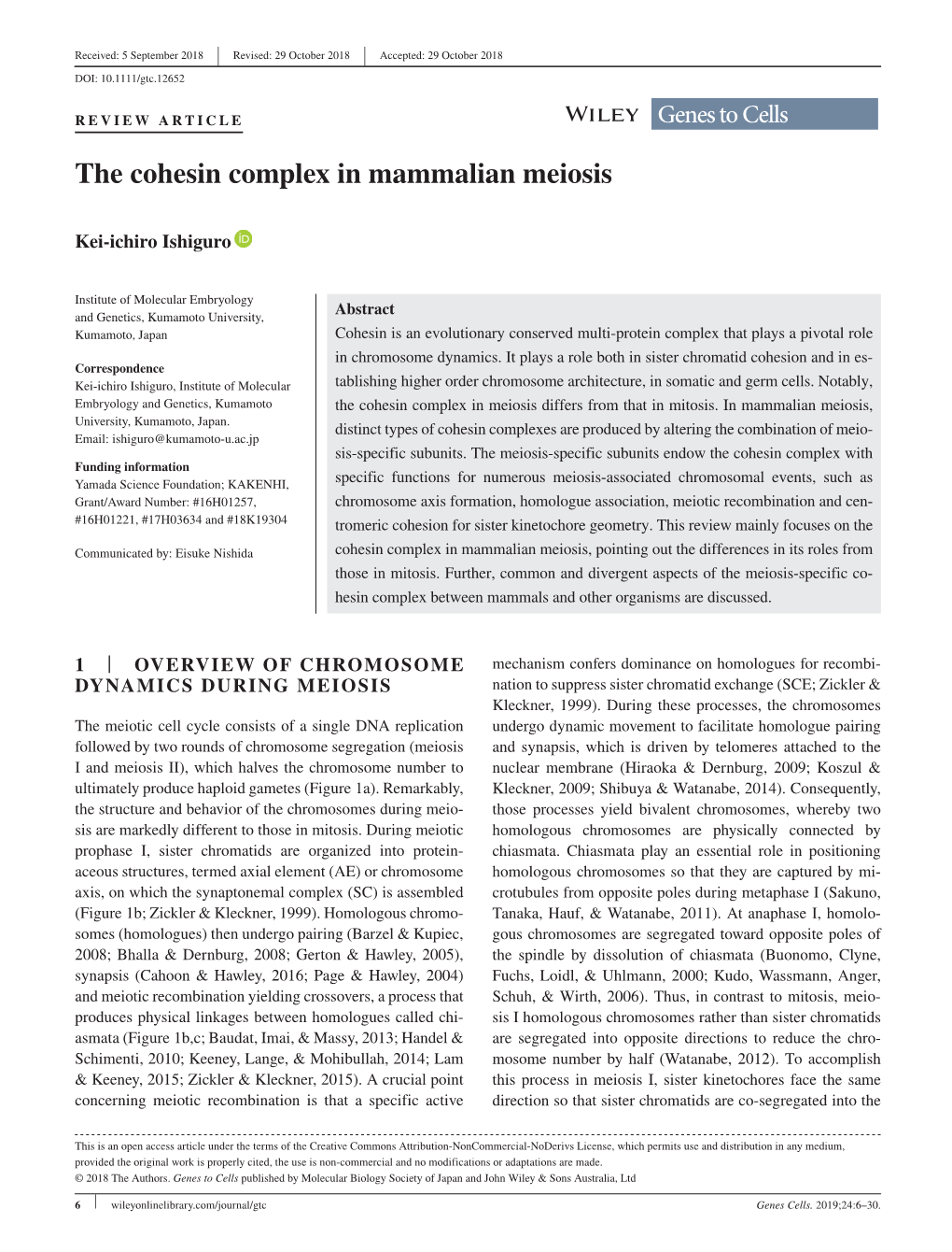 The Cohesin Complex in Mammalian Meiosis