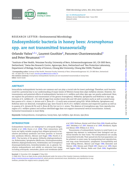 Endosymbiotic Bacteria in Honey Bees: Arsenophonus Spp. Are Not Transmitted Transovarially