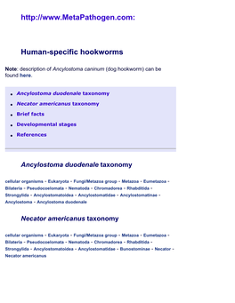 Ancylostoma Duodenale, Necator Americanus, Human-Specific Hookworms: Life Cycle, Health Implications at Metapathogen