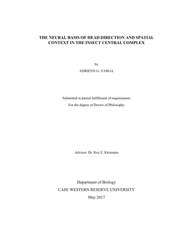 The Neural Basis of Head Direction and Spatial Context in the Insect Central Complex