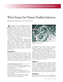 Human Dirofilaria Infections