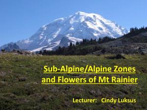Subalpine Meadows of Mount Rainier • an Elevational Zone Just Below Timberline but Above the Reach of More Or Less Continuous Tree Or Shrub Cover