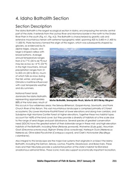 4. Idaho Batholith Section