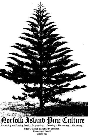 NORFOLK ISLAND PINE CULTURE Collecting and Storing Seed · Propagating ·Growing ·Harvesting · Marketing