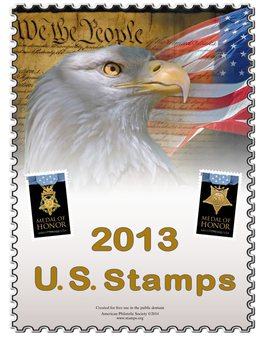 United States 2013 Issues