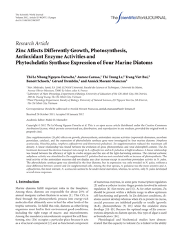 Zinc Affects Differently Growth, Photosynthesis, Antioxidant Enzyme Activities and Phytochelatin Synthase Expression of Four Marine Diatoms