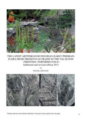 (EARLY PERMIAN) FLORA from TREGIOVO-LE FRAINE in the VAL DI NON (TRENTINO, NORTHERN ITALY) Additional and Revised Edition 2013 by MICHAEL WACHTLER