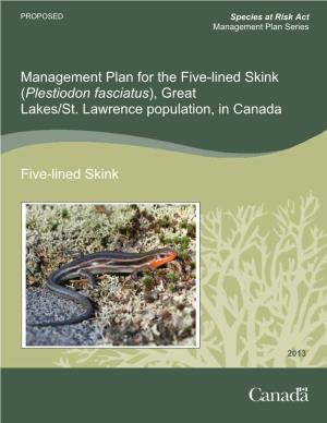 Five-Lined Skink (Plestiodon Fasciatus), Great Lakes/St