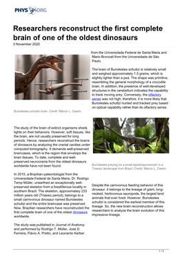 Researchers Reconstruct the First Complete Brain of One of the Oldest Dinosaurs 3 November 2020