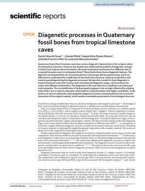 Diagenetic Processes in Quaternary Fossil Bones from Tropical Limestone Caves