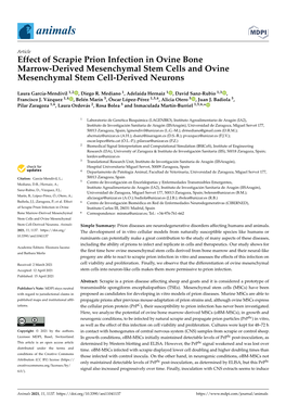 Effect of Scrapie Prion Infection in Ovine Bone Marrow-Derived Mesenchymal Stem Cells and Ovine Mesenchymal Stem Cell-Derived Neurons