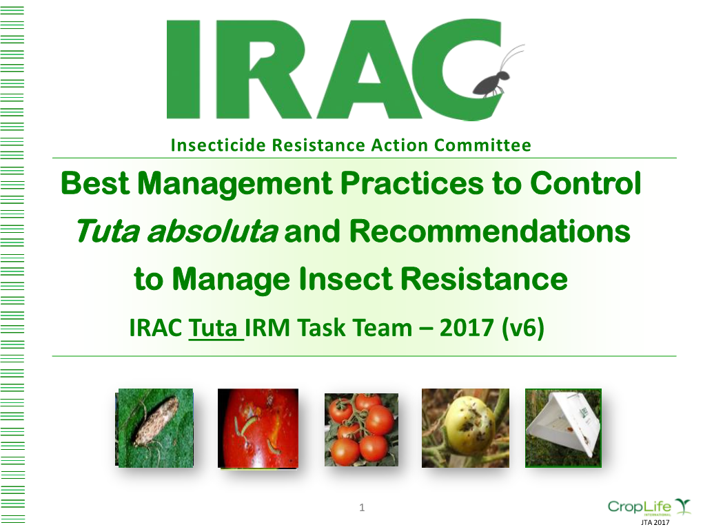 Controlling Tuta Absoluta and Managing Resistance