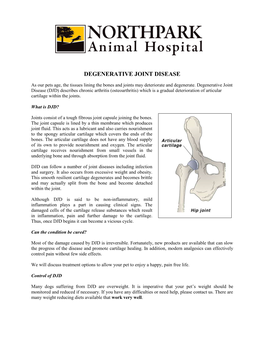 Degenerative Joint Disease