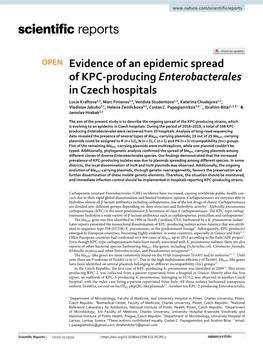 Evidence of an Epidemic Spread of KPC-Producing Enterobacterales In