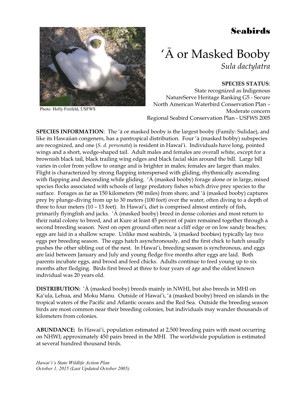 'Ā Or Masked Booby