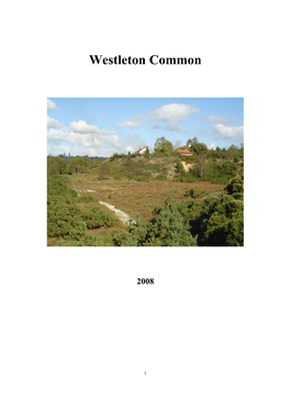 Westleton Common