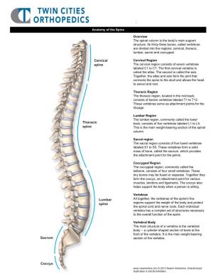 Cervical Spine Thoracic Spine Lumbar Spine Sacrum Coccyx