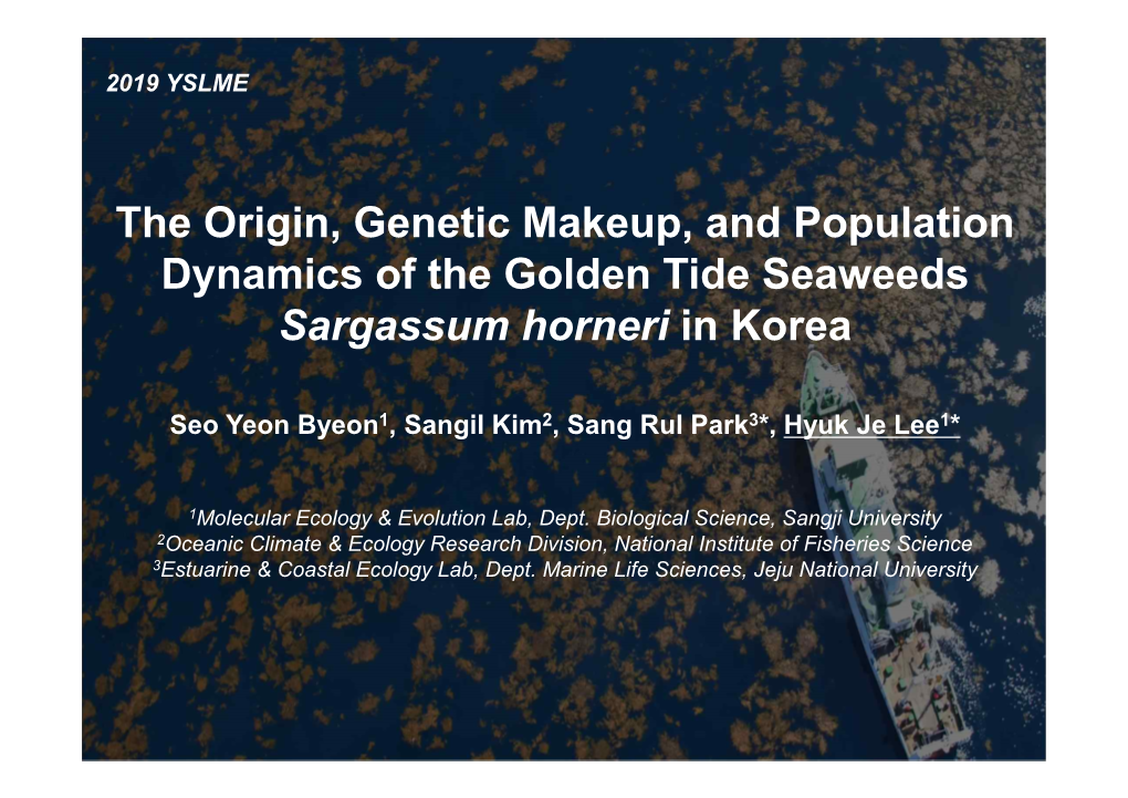The Origin, Genetic Makeup, and Population Dynamics of the Golden Tide Seaweeds Sargassum Horneri in Korea