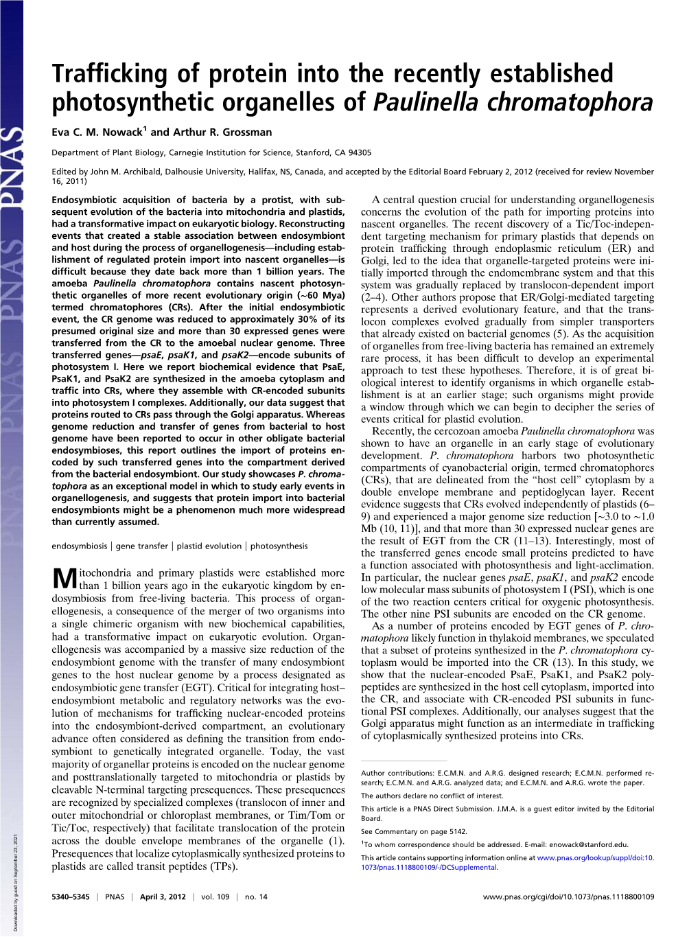 Trafficking of Protein Into the Recently Established Photosynthetic