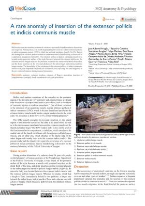 A Rare Anomaly of Insertion of the Extensor Pollicis Et Indicis Communis Muscle