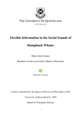 Flexible Information in the Social Sounds of Humpback Whales