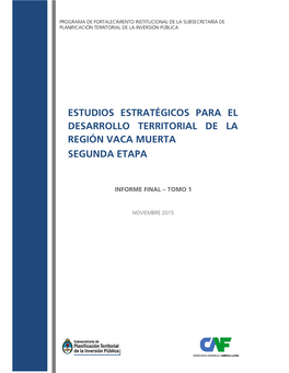 Estudios Estratégicos Para El Desarrollo Territorial De La Región Vaca Muerta Segunda Etapa