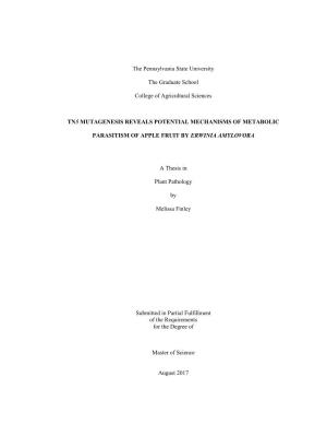 Open Final MS Thesis Updated.Pdf